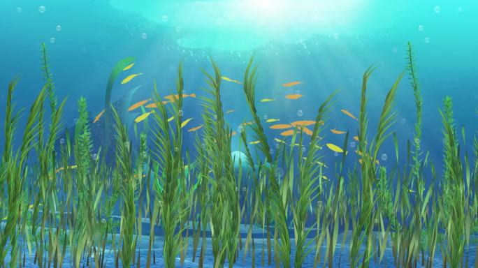 水下阳光场景水草鱼群气泡上升