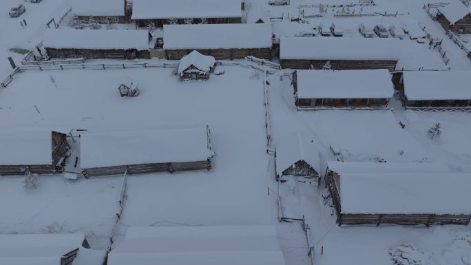 航拍大雪覆盖的新疆喀纳斯老村房屋