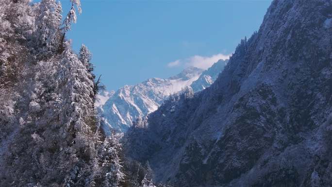 冬季刚下完雪后的雪山景象