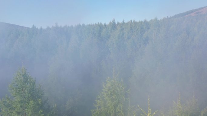 大兴安岭森林烟雾防治病虫害