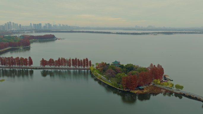 最美城中湖武汉东湖航拍冬景大片六