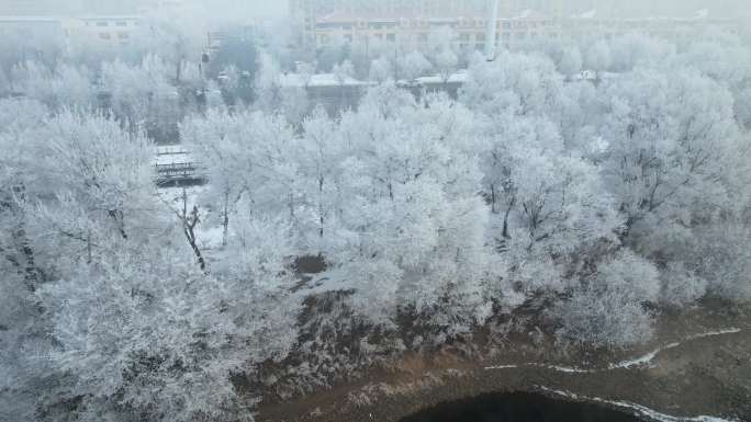 吉林雾凇树挂松花江冬季风光航拍