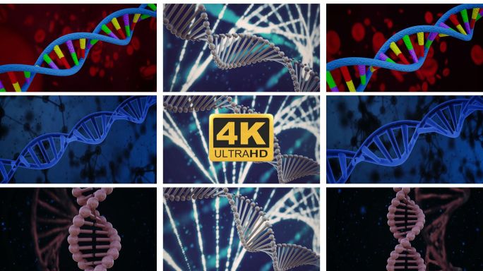 DNA三维动画基因螺旋