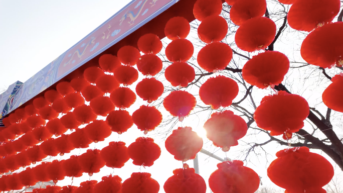 蛇年龙潭庙会喜庆年味氛围