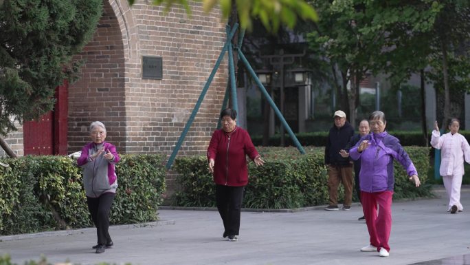 老年人公园打太极锻炼晨练