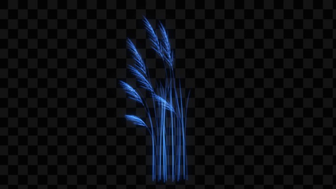 蓝色水晶发光芦苇生长动画-带透明通道