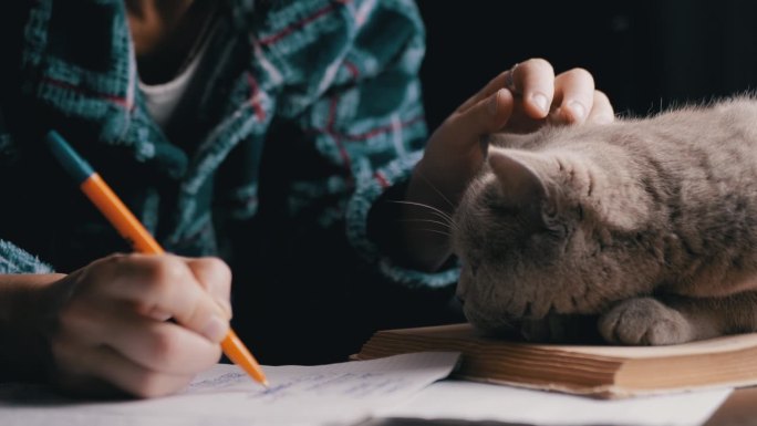 女手用笔在记事本上写字，在桌子上画一只毛毛猫