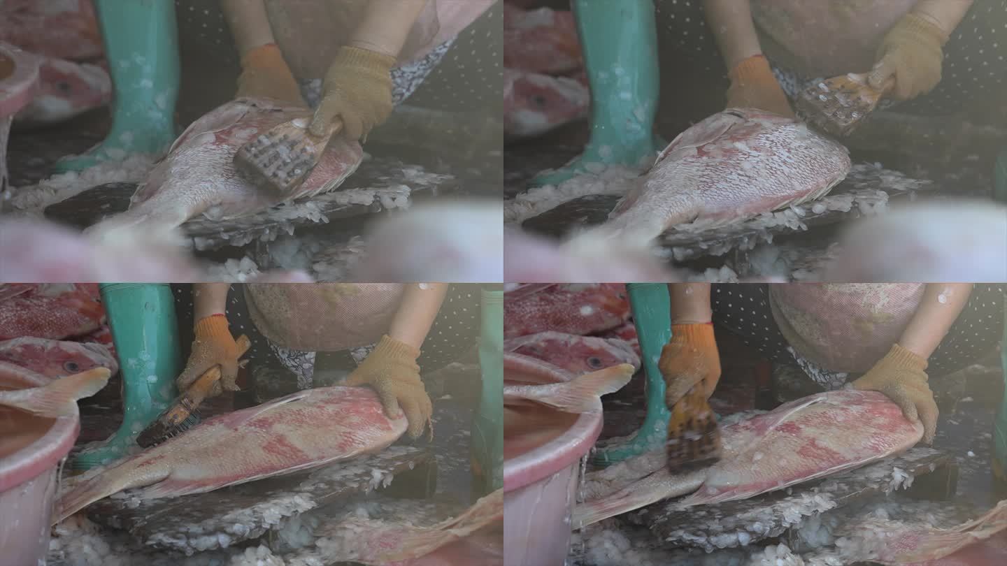 海南大红鱼海鲜鱼干制作去鱼鳞