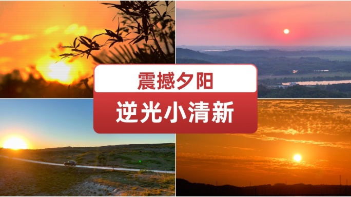 震撼夕阳逆光小清新  展望未来 大气布局