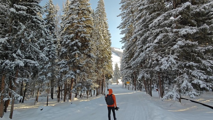 摄影师走在喀纳斯大雪覆盖的林中公路上