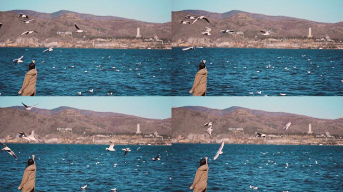 洱海边海鸥与游客互动升格慢镜头02