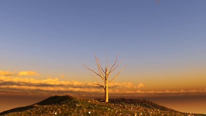在明亮的日落天空的背景下，一棵树生长并开花，3D渲染