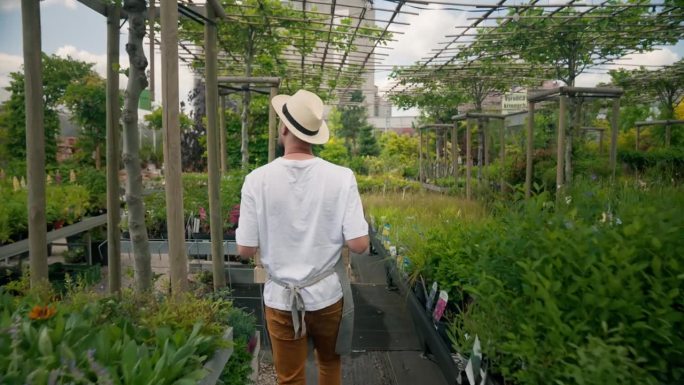 一名小型企业工人背着装有新鲜植物的箱子，穿过温室