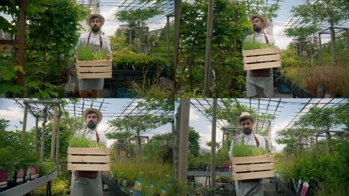 技艺娴熟的大胡子男子，一个小型企业工人，正在从地里取出装有新鲜植物的盒子