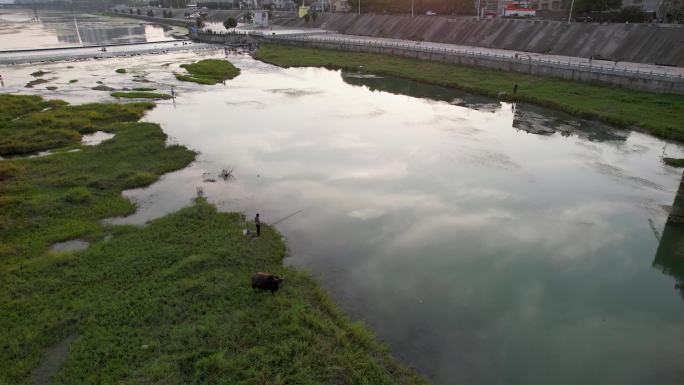 河流 水牛 延时