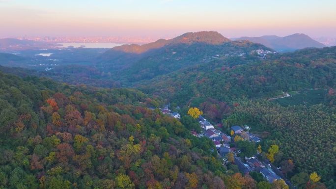 唯美杭州西湖龙井茶文化景区航拍茶园地茶叶