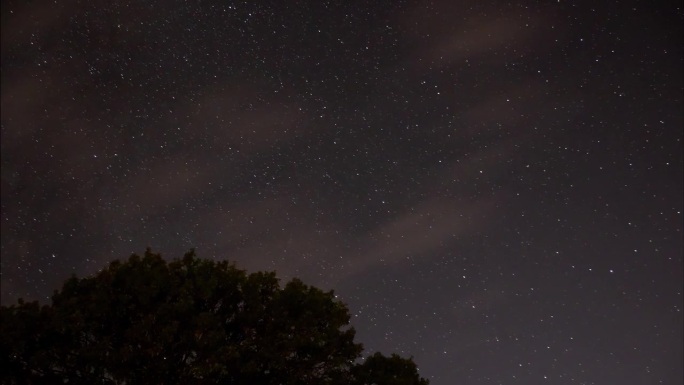 树在繁星满天的日落/夜空前的时间差