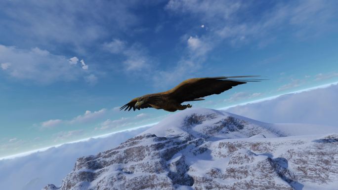 4K老鹰飞过雪山