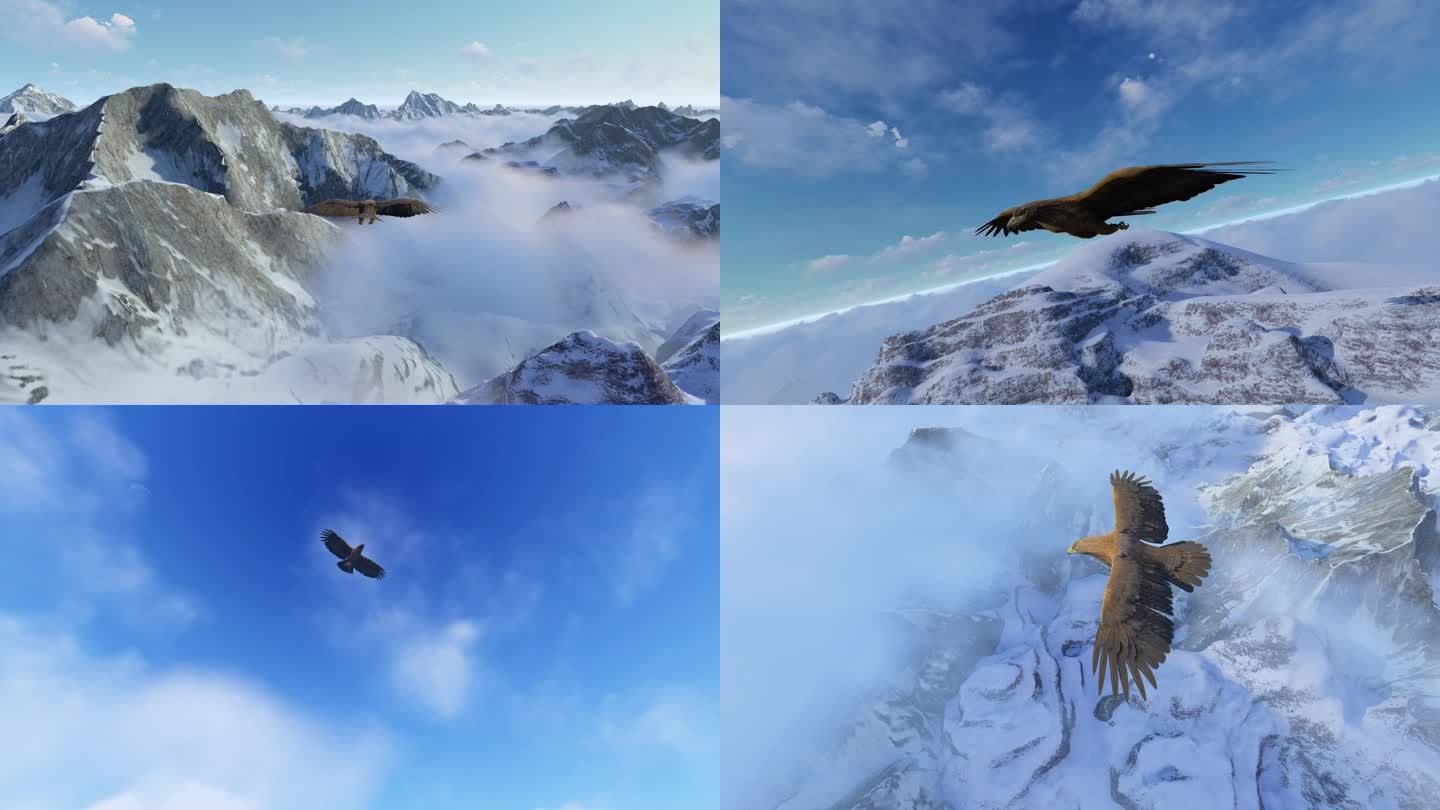 4K老鹰飞过雪山