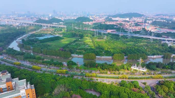 广州黄埔区长洲岛大学城航拍广东城市风景风