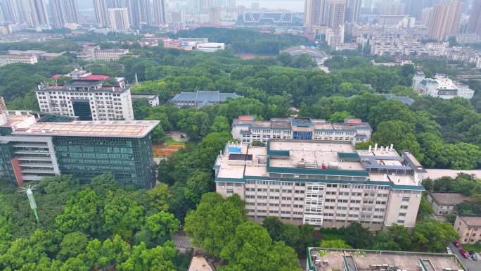 湖北武汉华中师范大学校园航拍大学高校学校