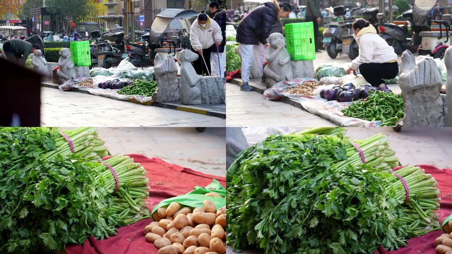 小区里卖菜芹菜土豆茄子辣椒挑选蔬菜