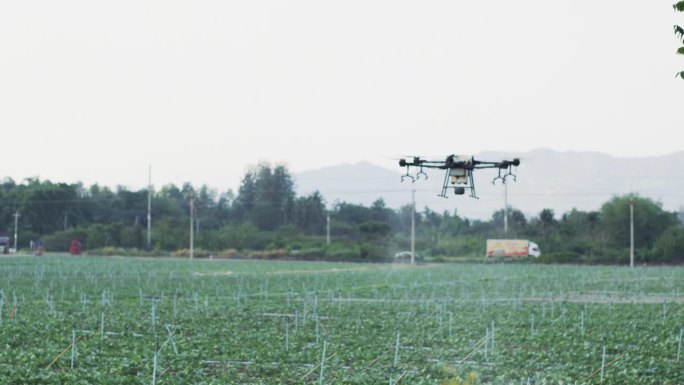 农业技术无人机在田地上喷洒