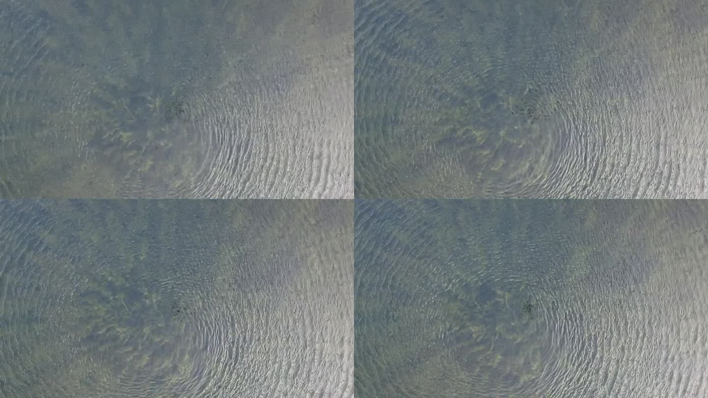 无人机从螺旋桨微风中看到涟漪。里面有干净的水和水草，4k实时画面，可循环播放的视频。