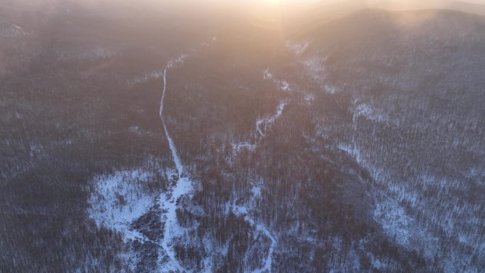 曙光照耀冻雾迷漫的林海雪原