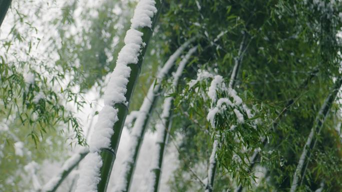 竹林落雪