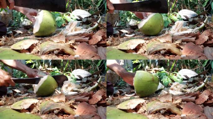 椰子被切开。