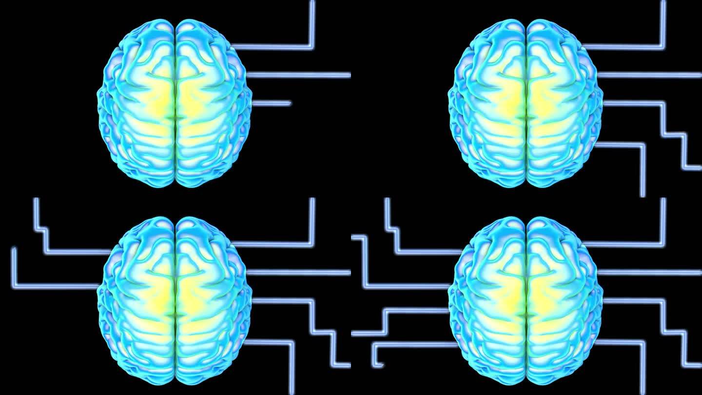 动画的霓虹大脑在黑色的背景与神经网络。3 d动画。记忆和大脑学习的概念。