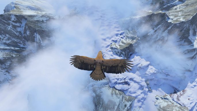 雄鹰飞过雪山