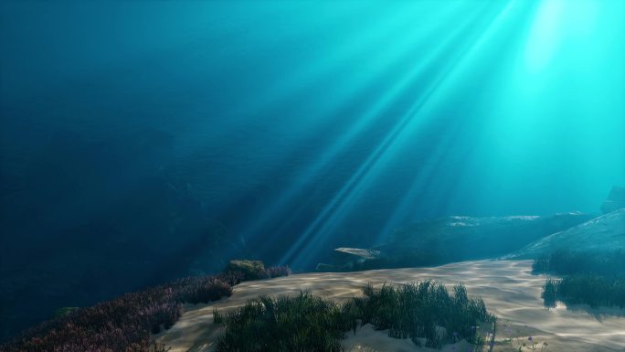 海底世界 4K水下光影