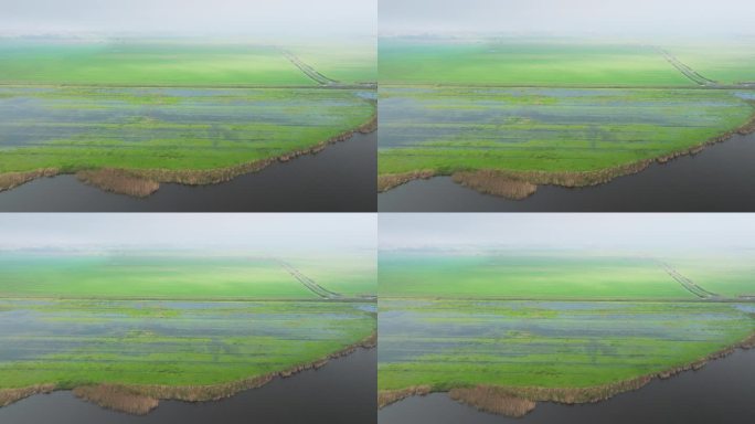 荷兰弗里斯兰省Sondeler Leien的湿地鸟瞰图