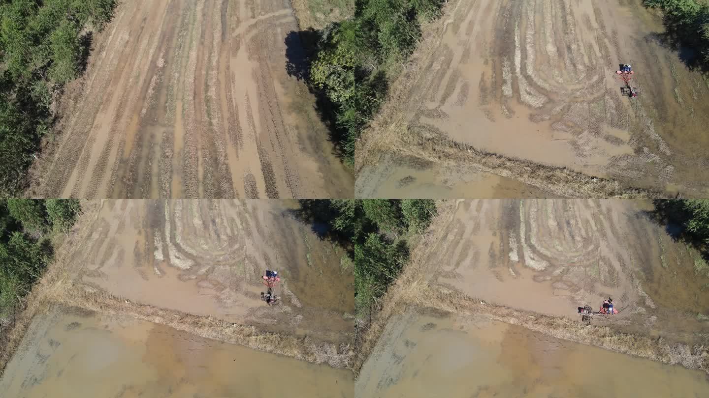 从无人机上鸟瞰一名农民在耕地上种植第二季水稻。泰国NakhonRatchasima。