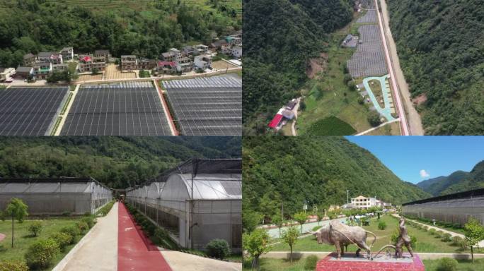 商洛柞水金米村木耳基地航拍视频