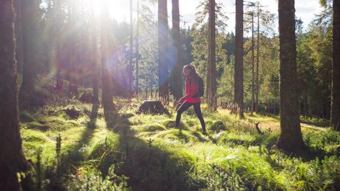 一名妇女在郁郁葱葱、阳光明媚的森林小径上徒步旅行