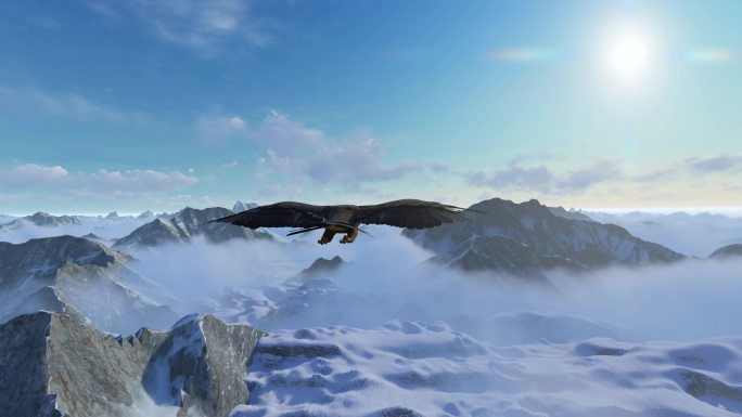 老鹰 飞过雪山 飞翔