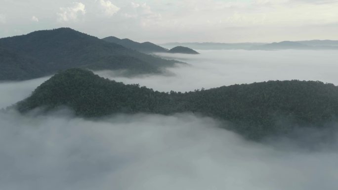 云南 西双版纳 山峰间的云海、云雾 航拍