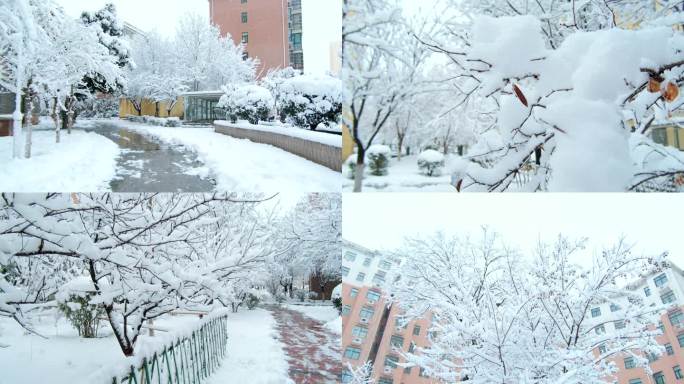 冬天漂亮的小区雪景