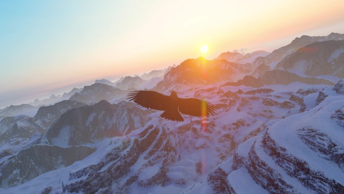 老鹰 飞过雪山 飞翔