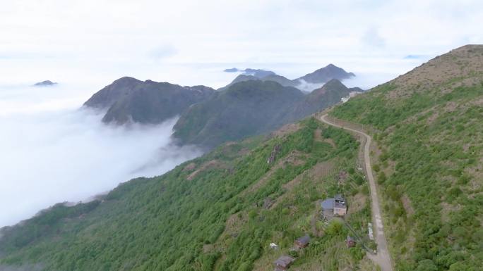 4K航拍群山云海潮州凤凰山茶山