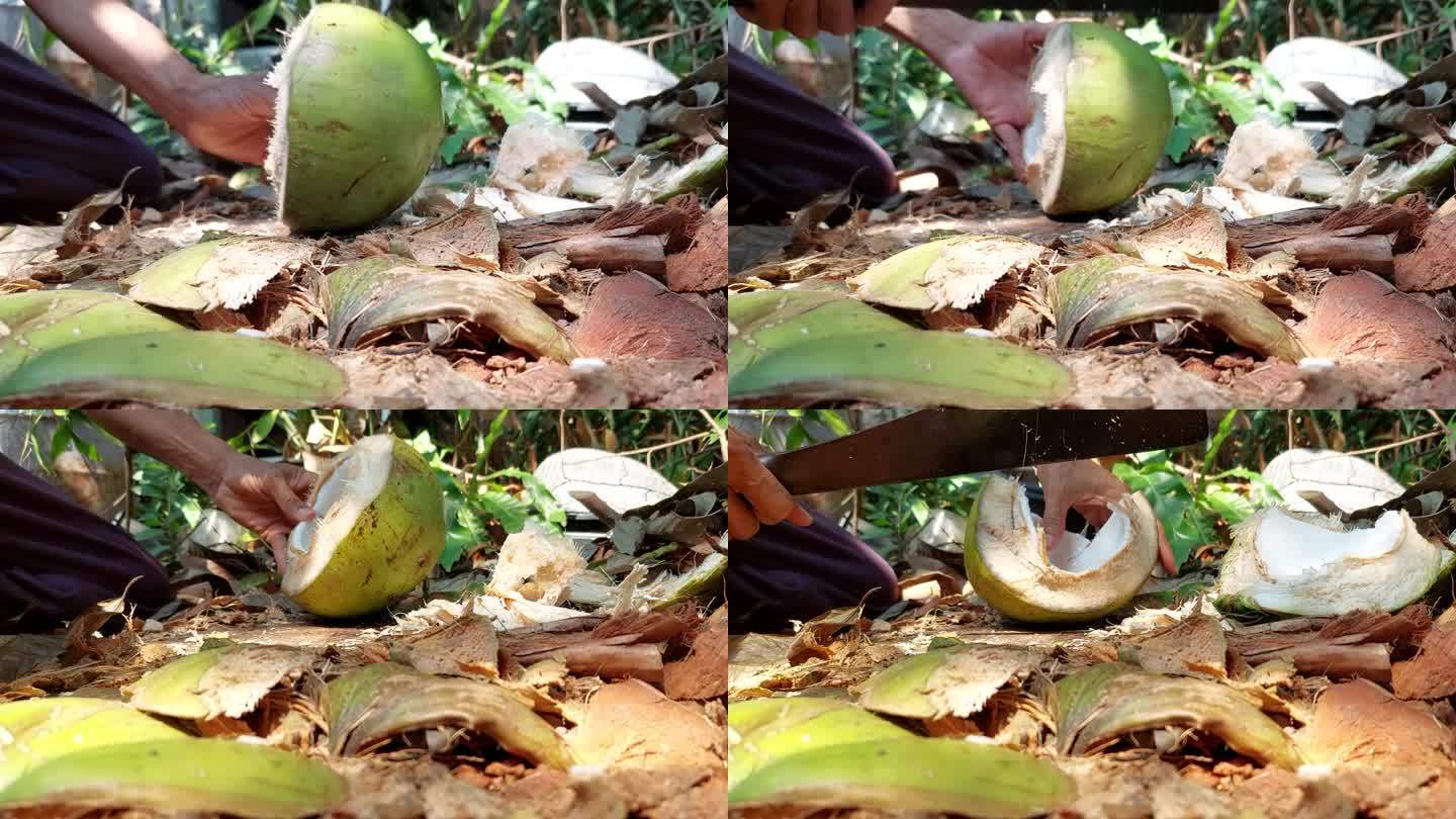 椰子被切成两半。