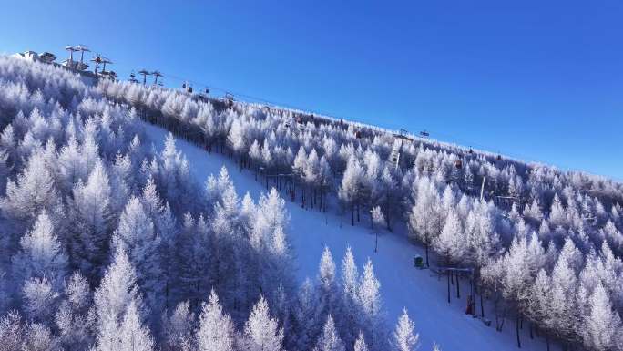 滑雪场挂满洁白的雾凇