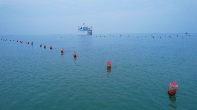 海洋牧场 海上养殖 水产养殖