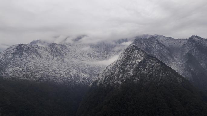 高山冬天严寒冰冻雪淞雾凇云雾