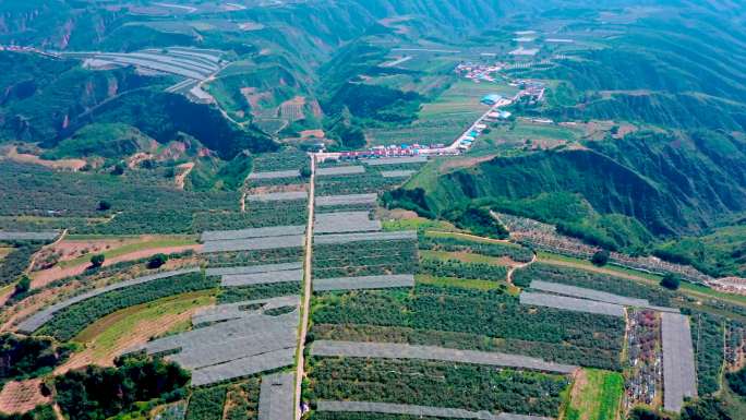 陕西延安山地苹果园航拍视频