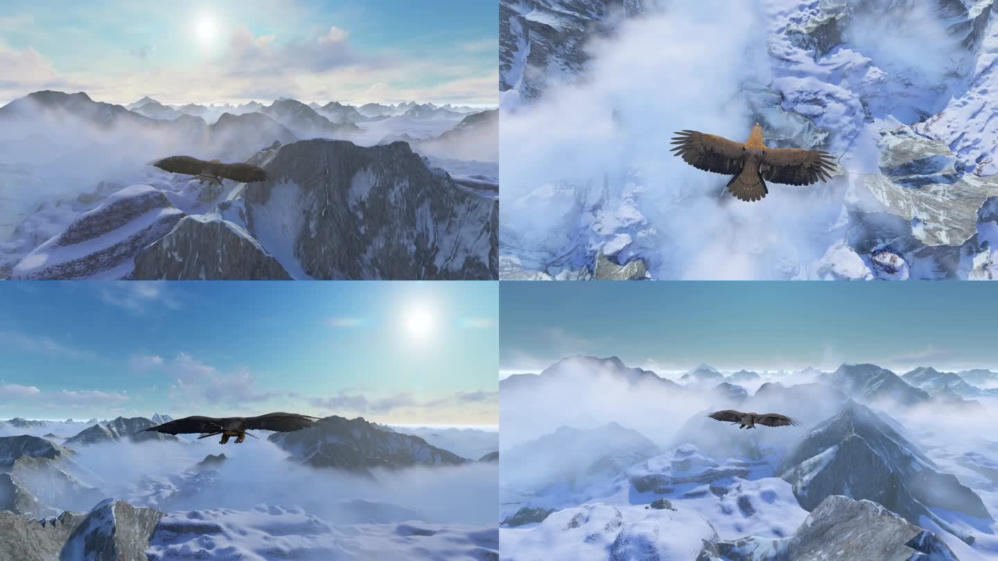 鹰飞过雪山飞翔