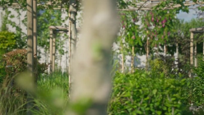 长发女植物学家拿着一盒花，穿过温室